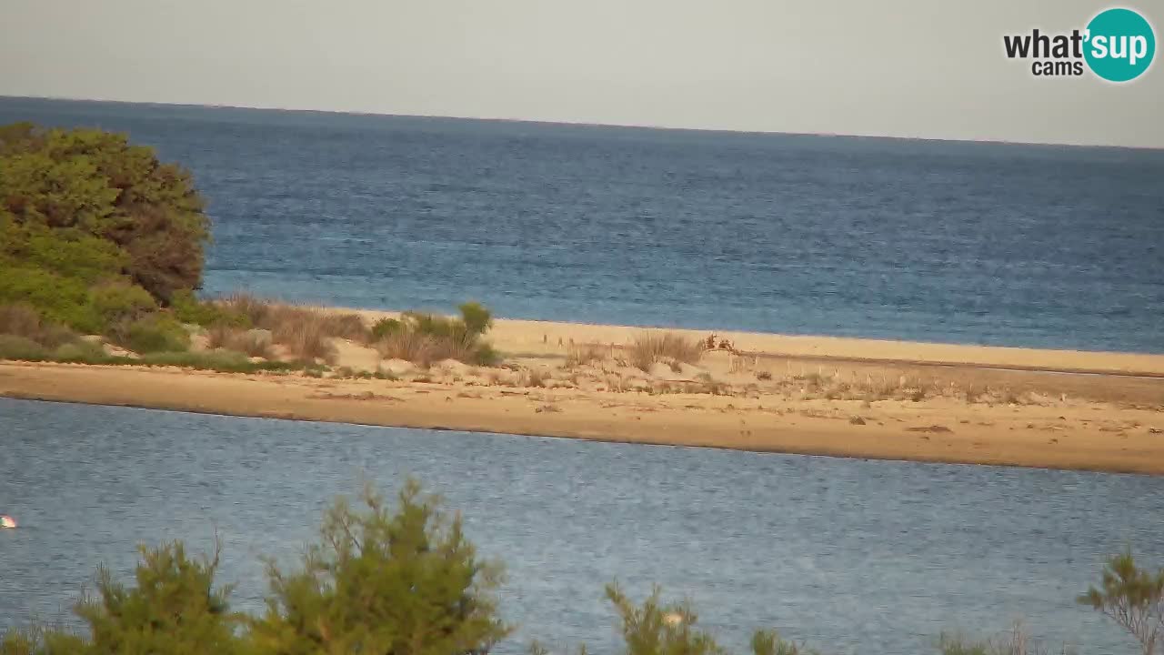 Webcam Chia – Live View of Su Giudeu Beach