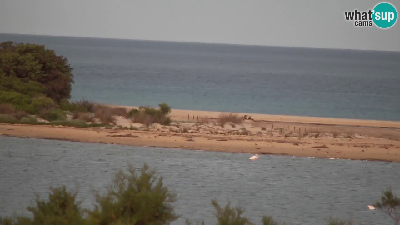 Webcam Chia – Vista en directo de la playa Su Giudeu