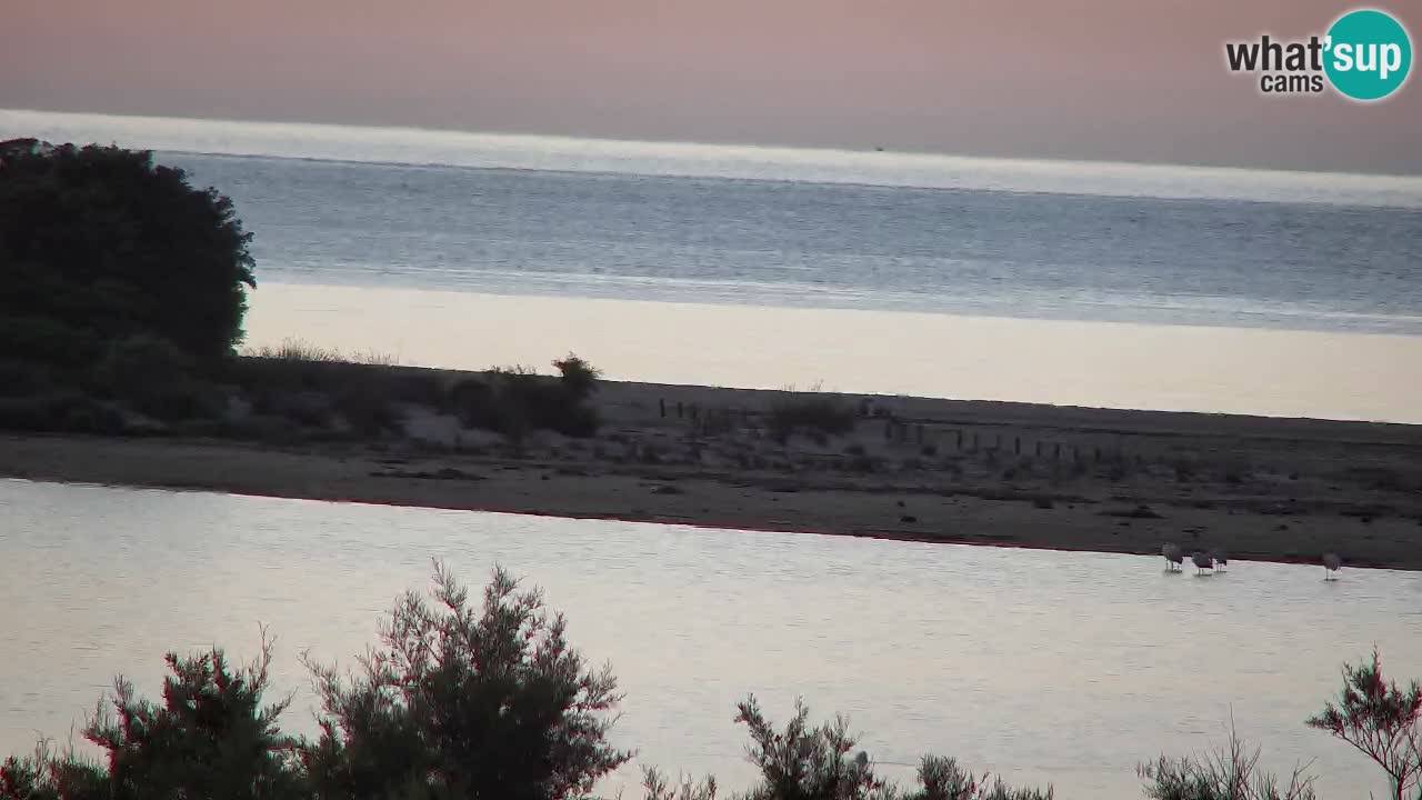 Webcam Chia – Vista en directo de la playa Su Giudeu