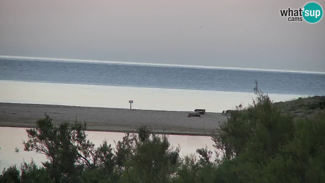 Webcam Chia – Spiaggia Su Giudeu in diretta