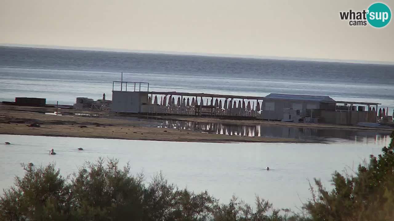 Webcam Chia – Live View of Su Giudeu Beach