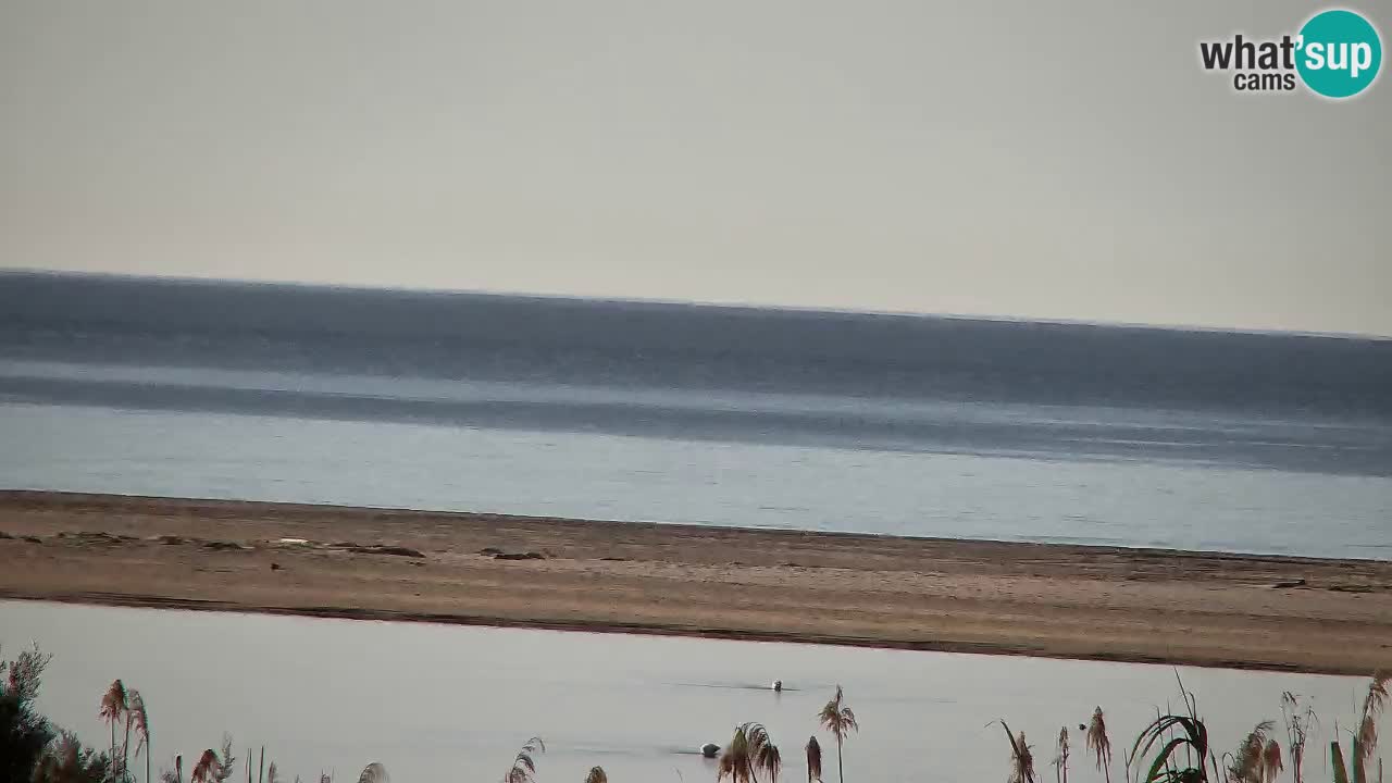 Webcam Chia – Vista en directo de la playa Su Giudeu