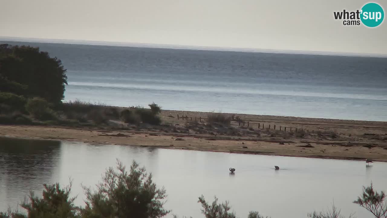Webcam Chia – Live View of Su Giudeu Beach
