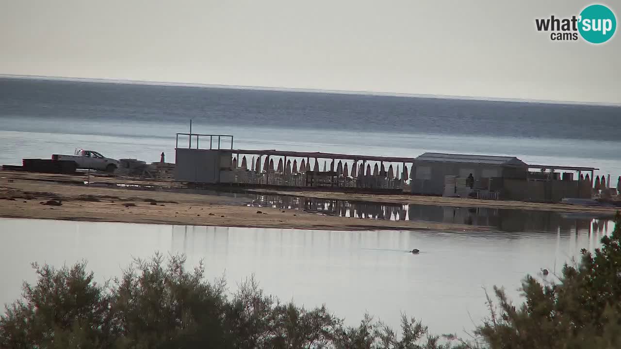 Webcam Chia – Vista en directo de la playa Su Giudeu