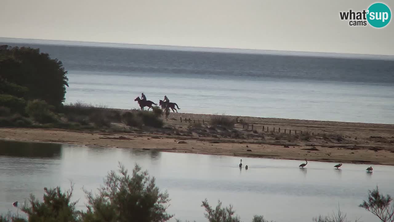 Webcam Chia – Live View of Su Giudeu Beach