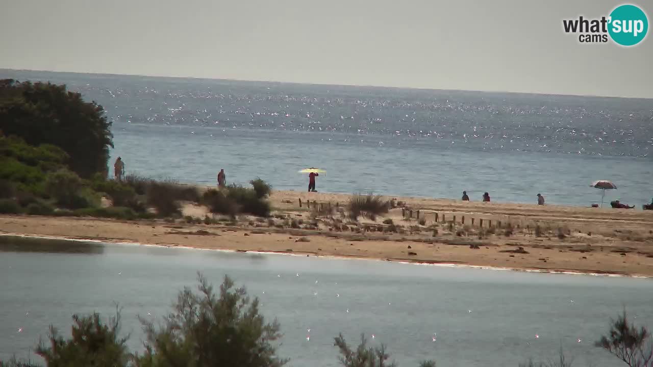 Webcam Chia – Liveblick auf den Strand Su Giudeu