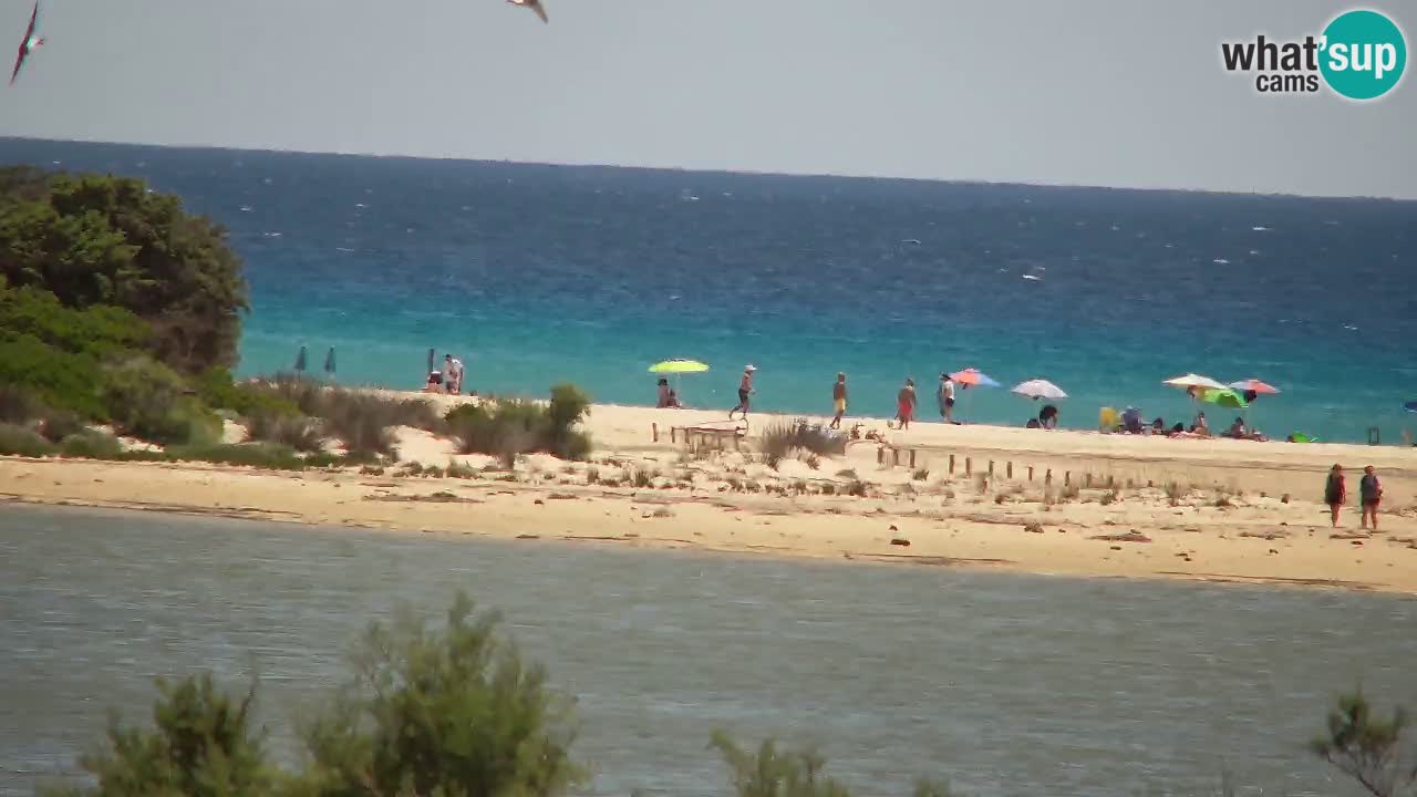 Webcam Chia – Vista en directo de la playa Su Giudeu