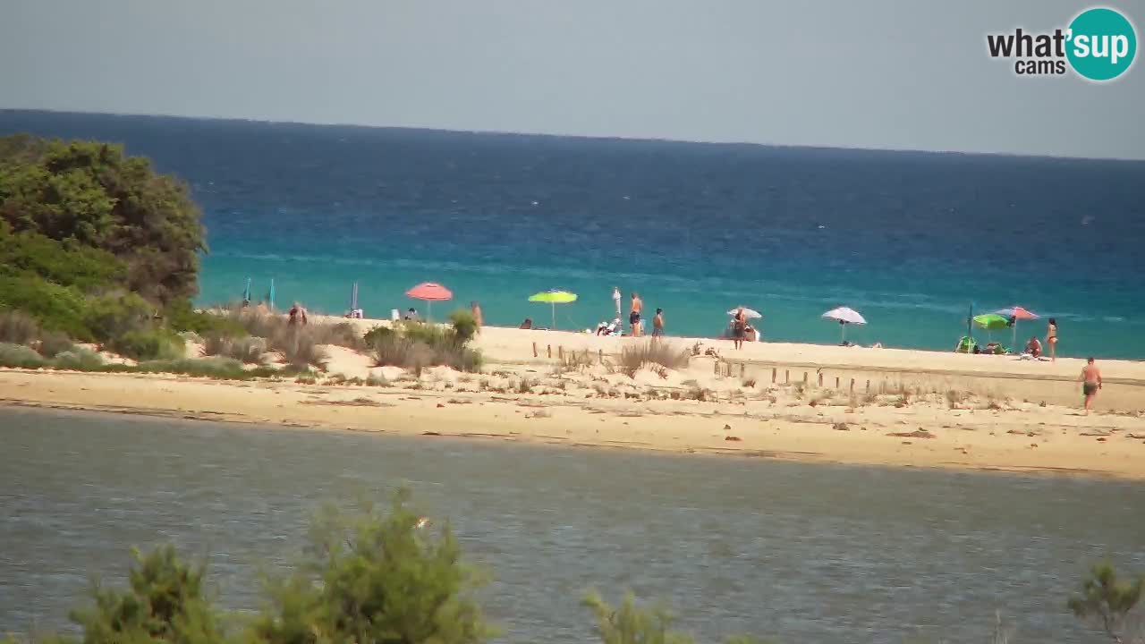 Spletna kamera Chia – Pogled v živo na plažo Su Giudeu