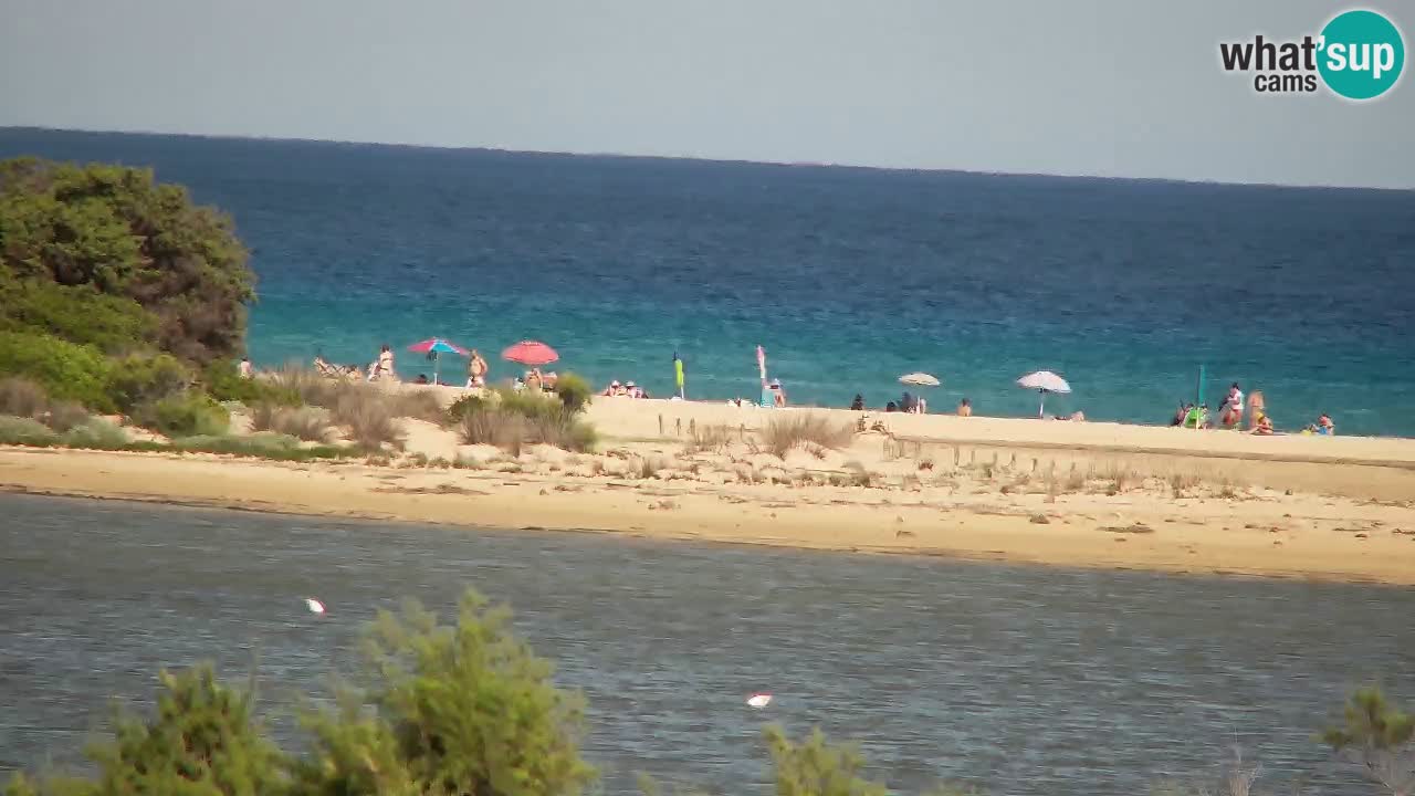 Webcam Chia – Live View of Su Giudeu Beach
