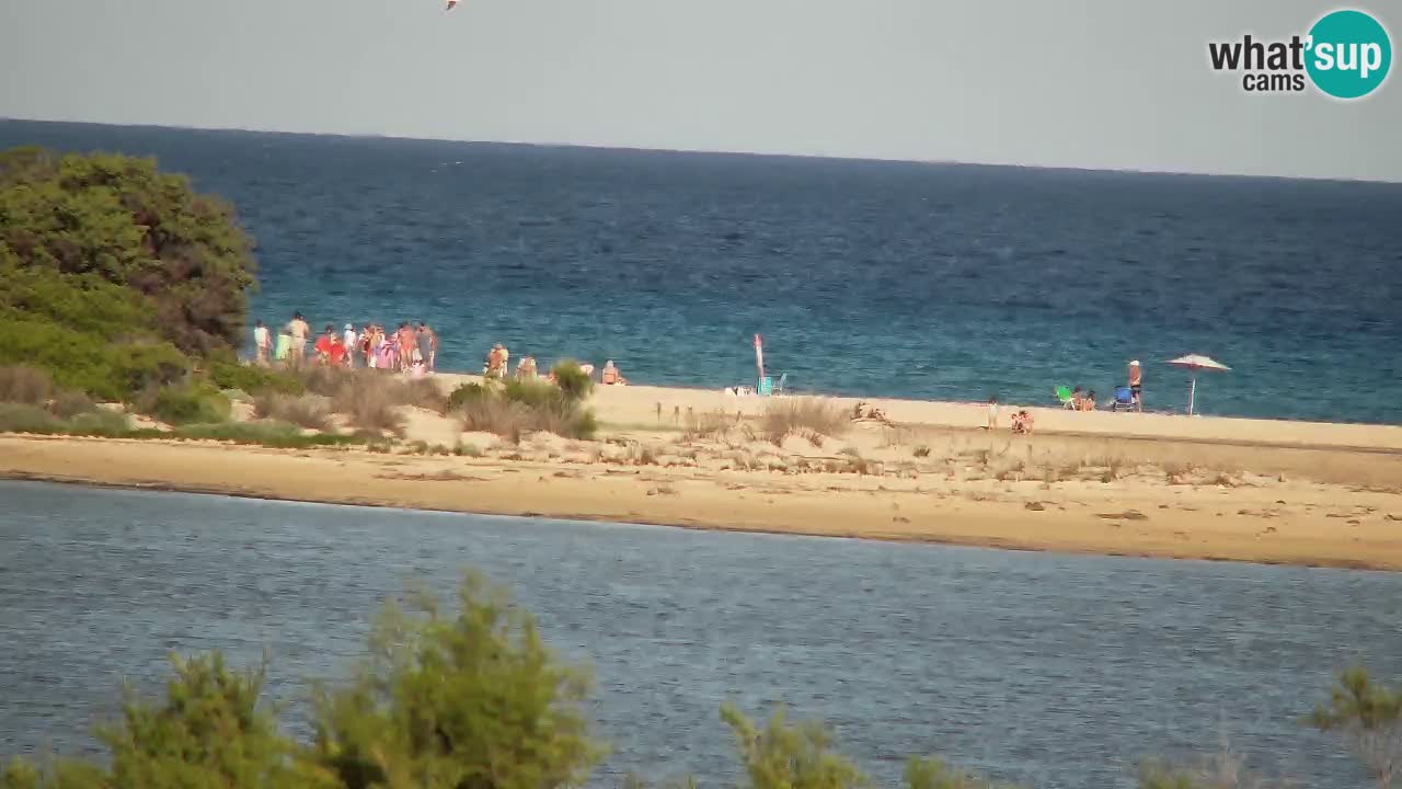Webcam Chia – Live View of Su Giudeu Beach