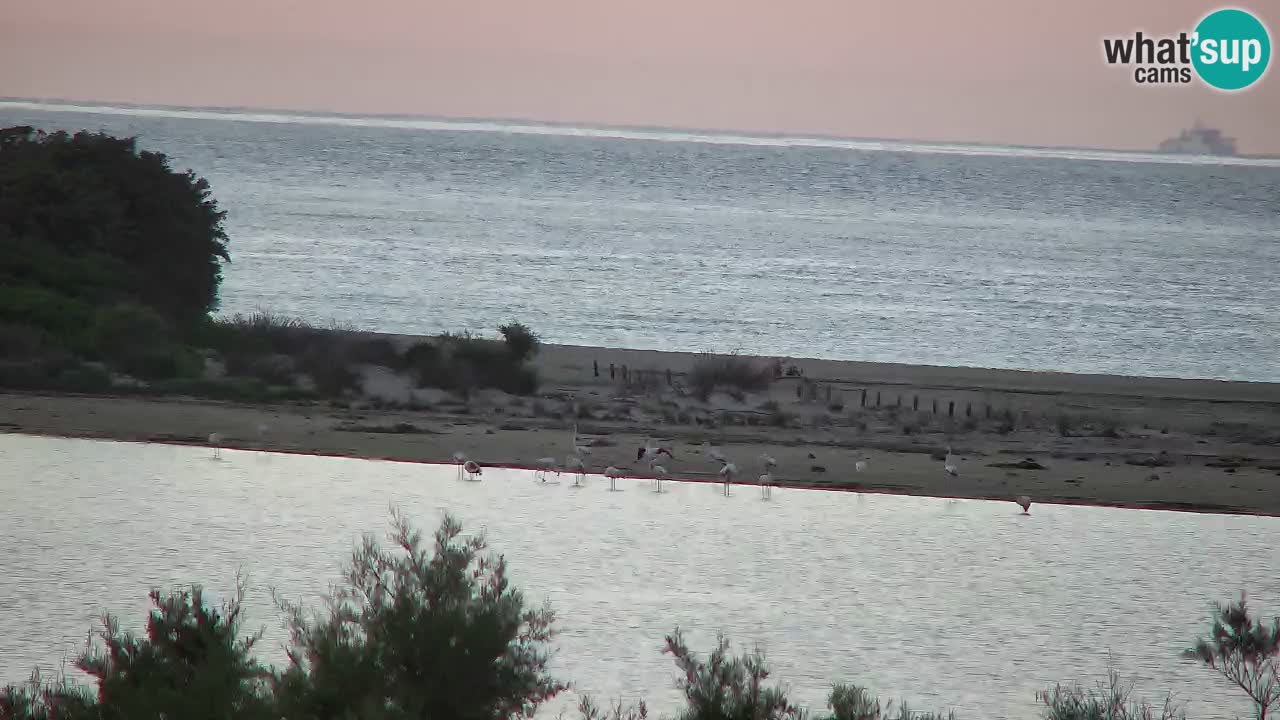 Webcam Chia – Live View of Su Giudeu Beach