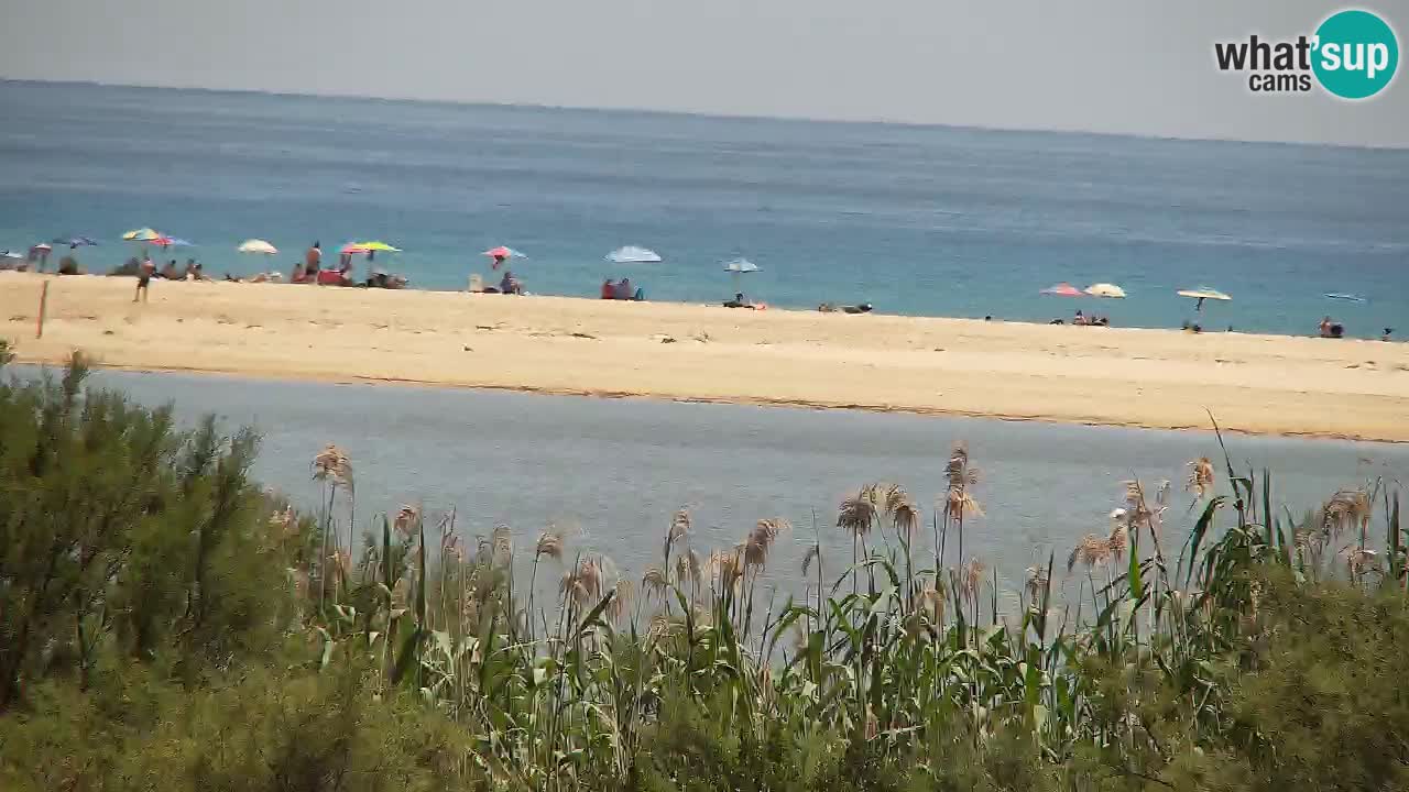 Webcam Chia – Live View of Su Giudeu Beach