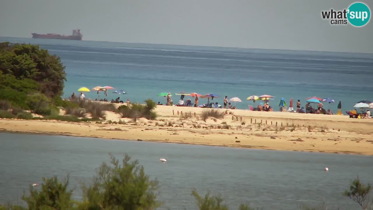 Webcam Chia – Live View of Su Giudeu Beach