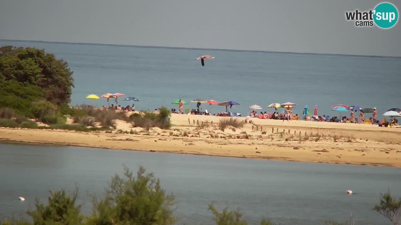 Webcam Chia – Live View of Su Giudeu Beach