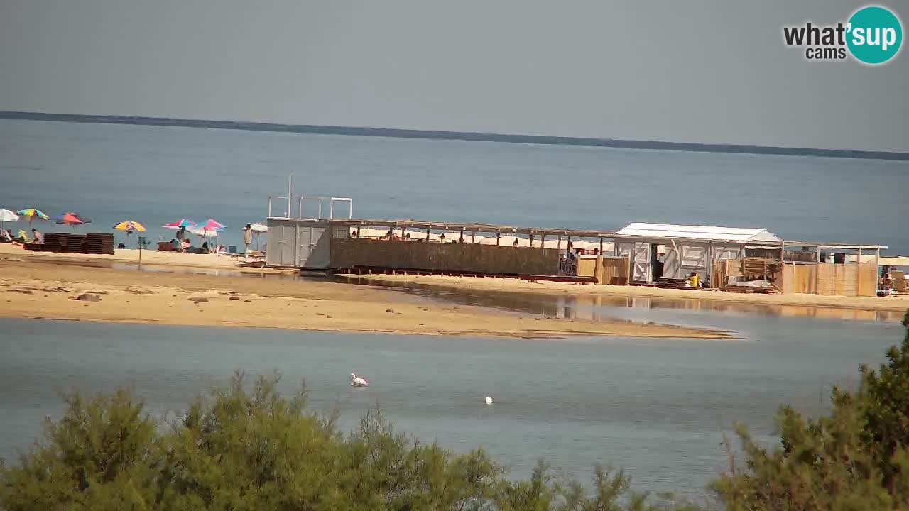 Webcam Chia – Live View of Su Giudeu Beach