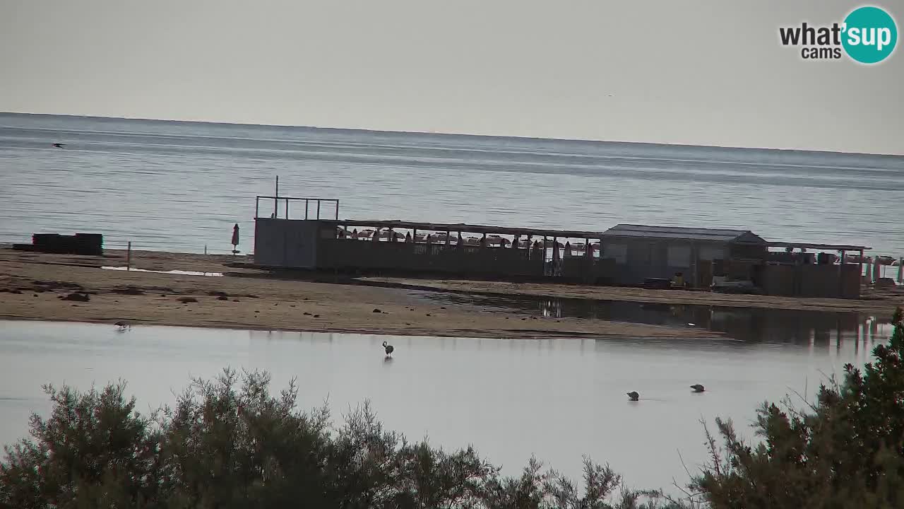 Webcam Chia – Spiaggia Su Giudeu in diretta