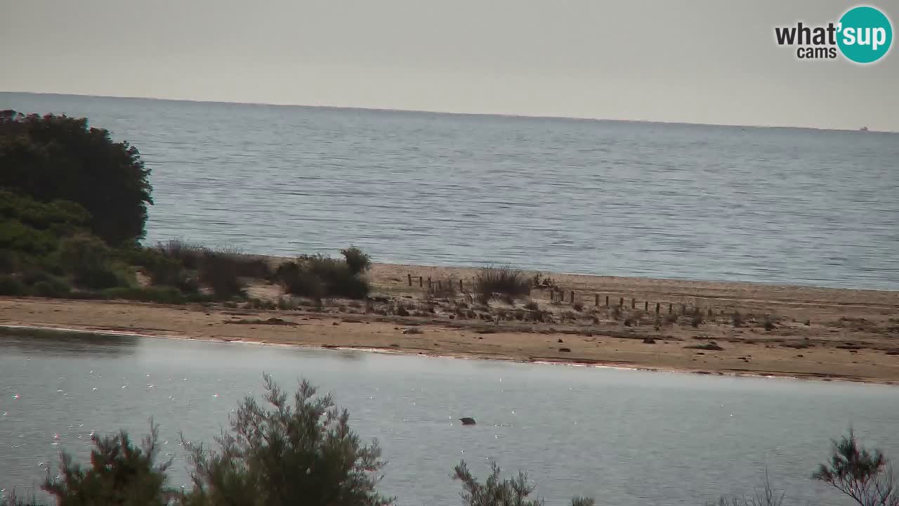 Webcam Chia – Vue en direct de la plage Su Giudeu