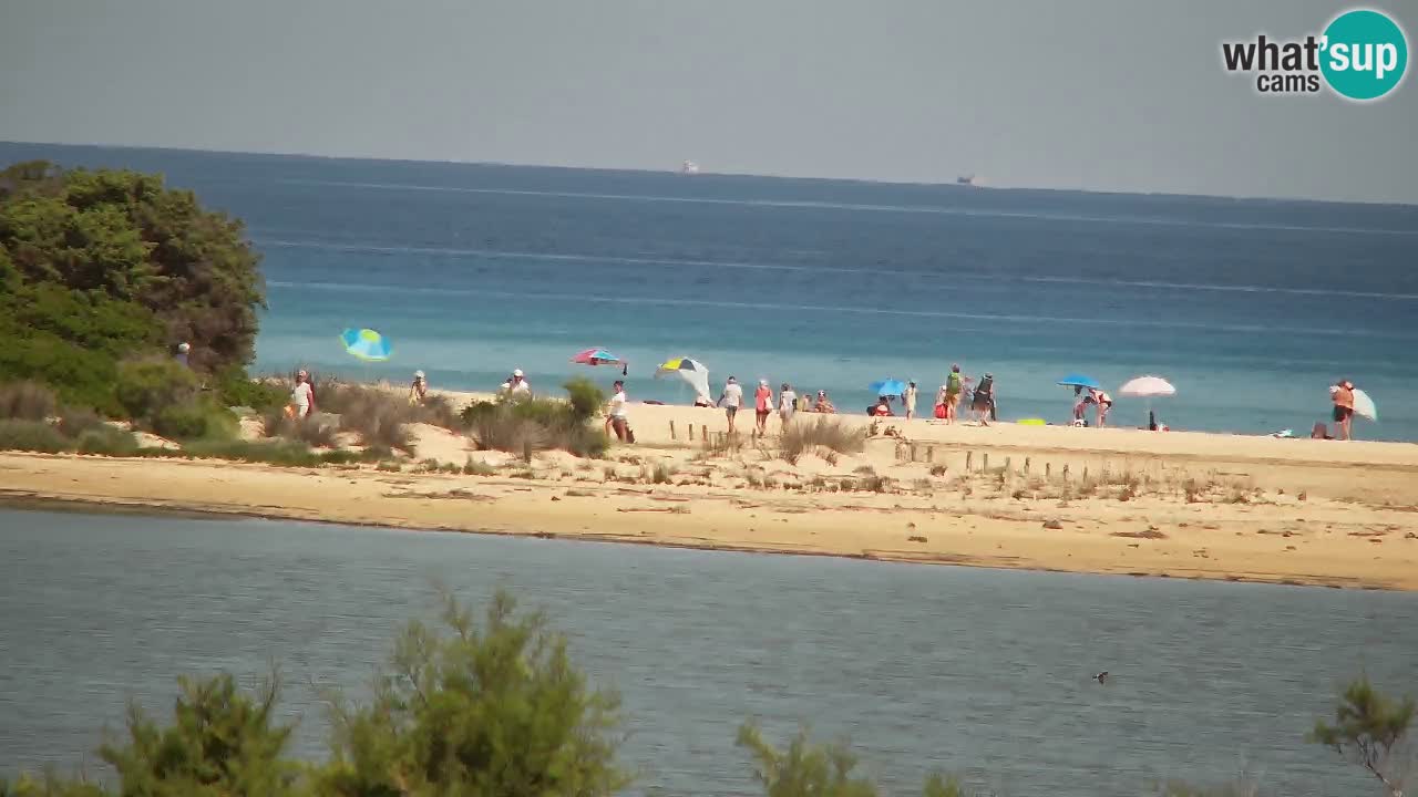 Web kamera Chia – Pogled uživo na plažu Su Giudeu