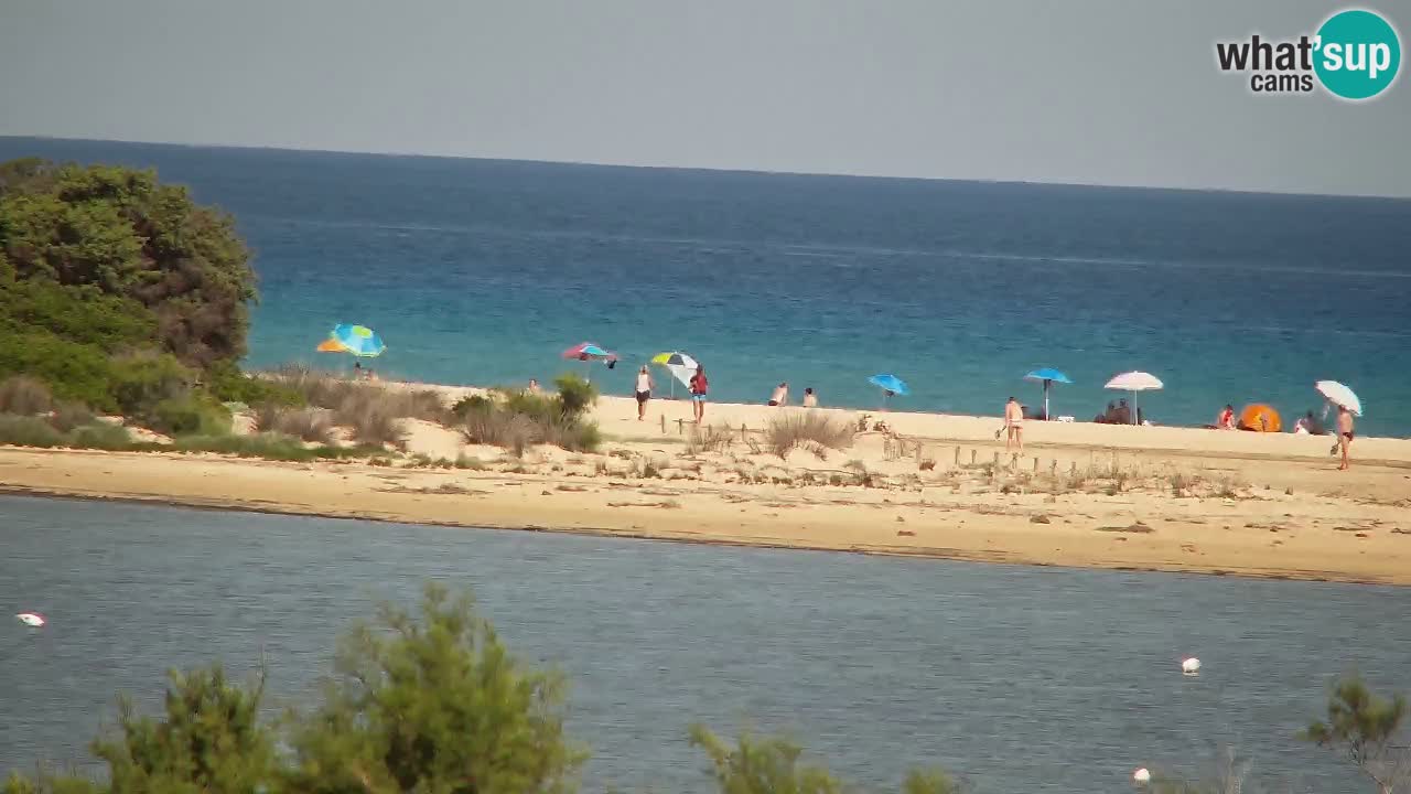 Webcam Chia – Live View of Su Giudeu Beach