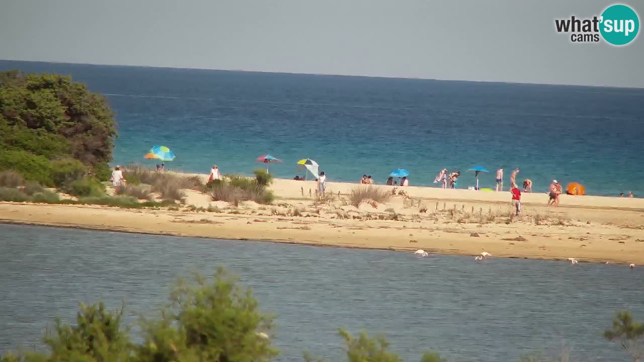 Webcam Chia – Vue en direct de la plage Su Giudeu