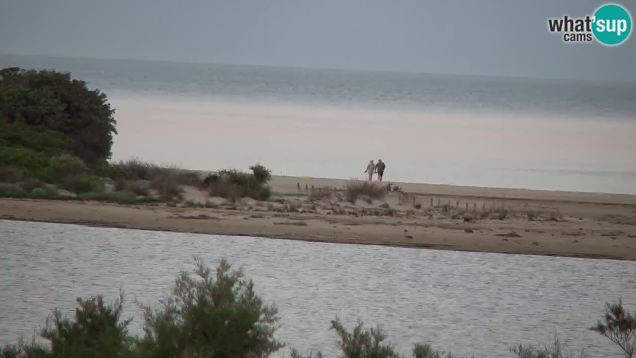 Webcam Chia – Live View of Su Giudeu Beach