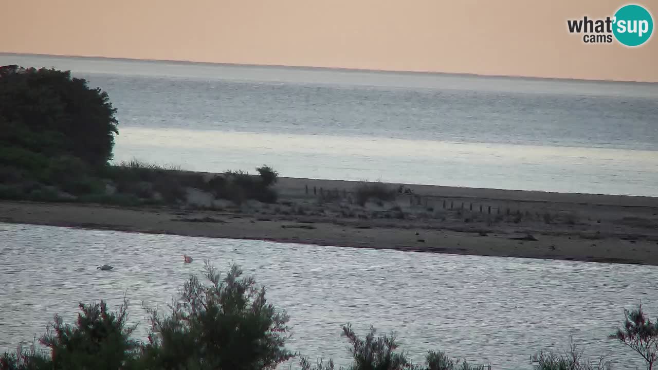 Webcam Chia – Liveblick auf den Strand Su Giudeu