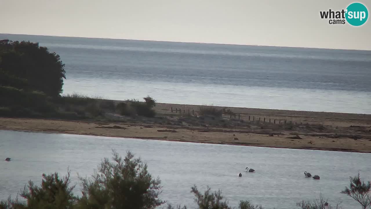 Webcam Chia – Liveblick auf den Strand Su Giudeu