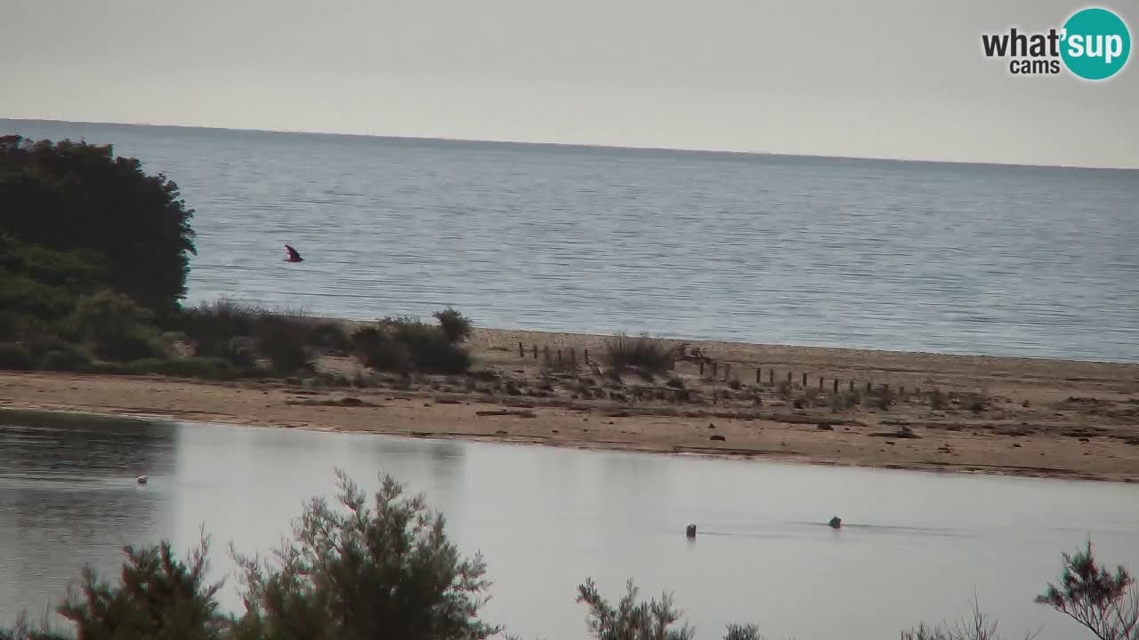 Webcam Chia – Live View of Su Giudeu Beach