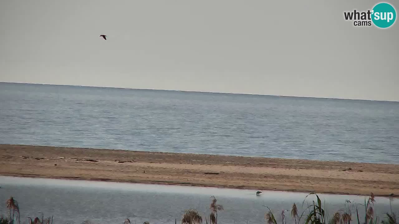 Webcam Chia – Spiaggia Su Giudeu in diretta