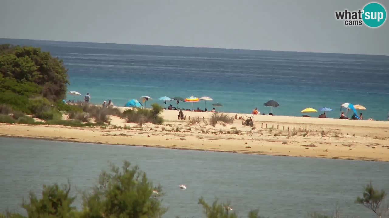 Webcam Chia – Vista en directo de la playa Su Giudeu