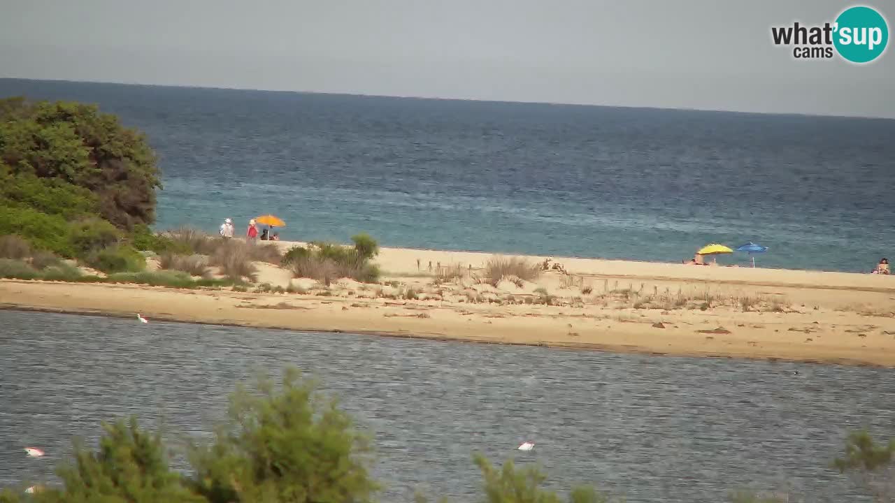 Webcam Chia – Liveblick auf den Strand Su Giudeu