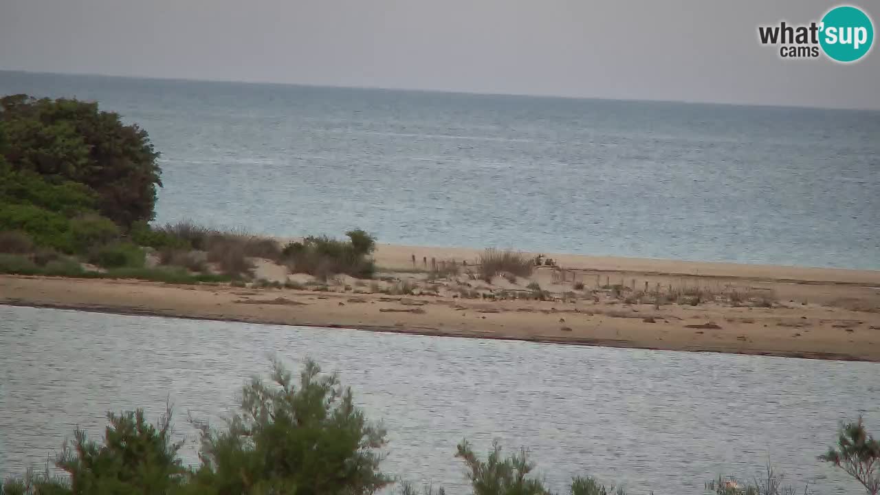 Webcam Chia – Live View of Su Giudeu Beach
