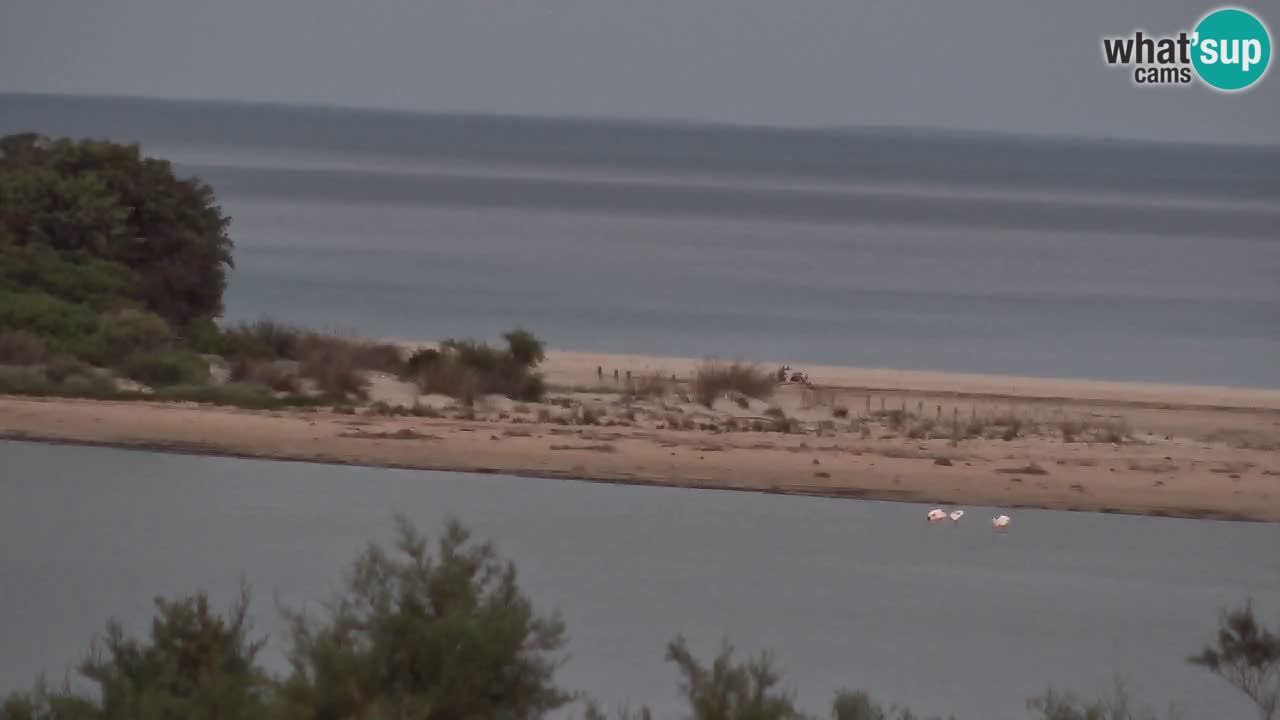 Webcam Chia – Live View of Su Giudeu Beach