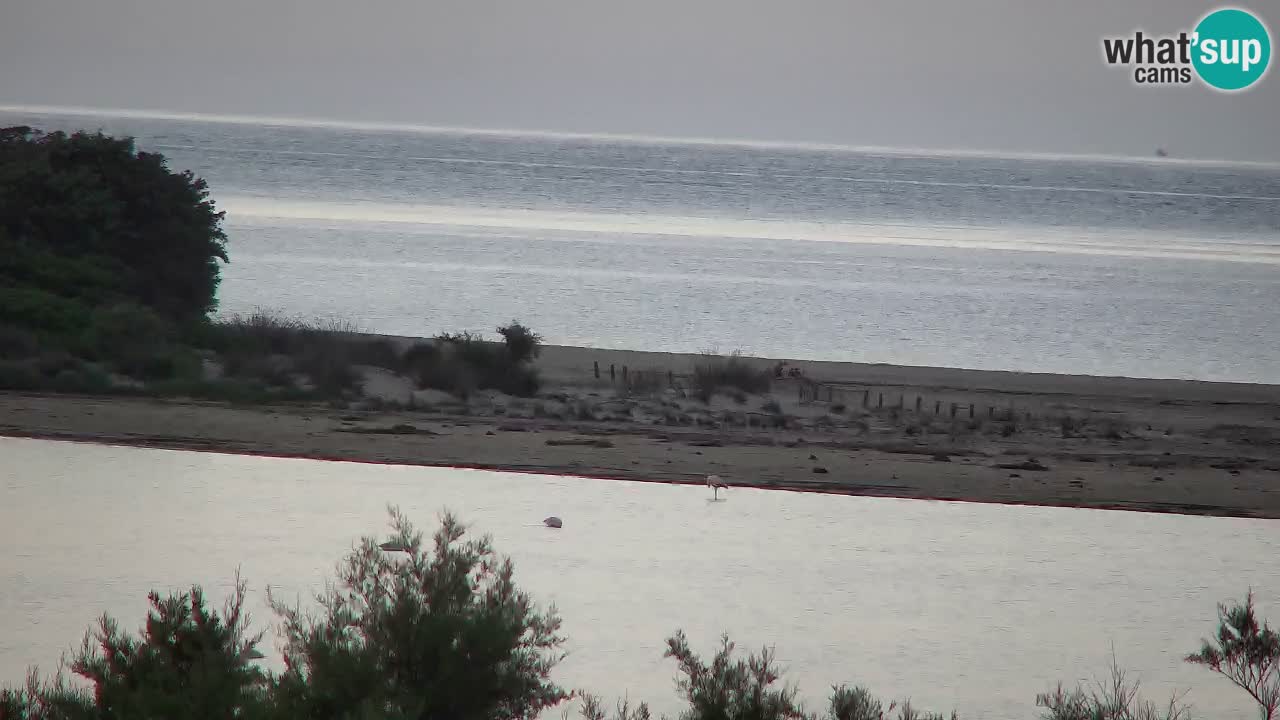 Webcam Chia – Vue en direct de la plage Su Giudeu