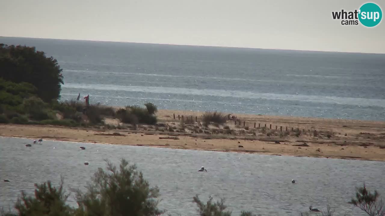 Webcam Chia – Live View of Su Giudeu Beach