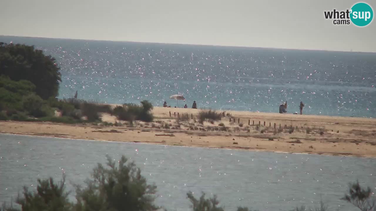 Webcam Chia – Live View of Su Giudeu Beach