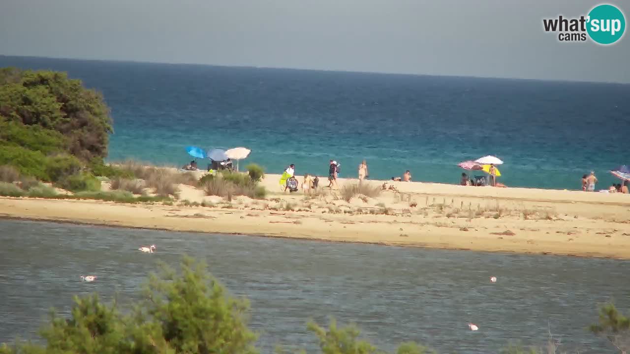Webcam Chia – Liveblick auf den Strand Su Giudeu