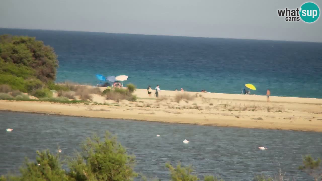 Spletna kamera Chia – Pogled v živo na plažo Su Giudeu