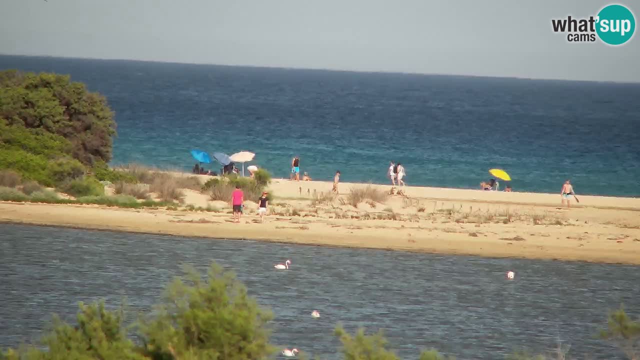 Webcam Chia – Liveblick auf den Strand Su Giudeu