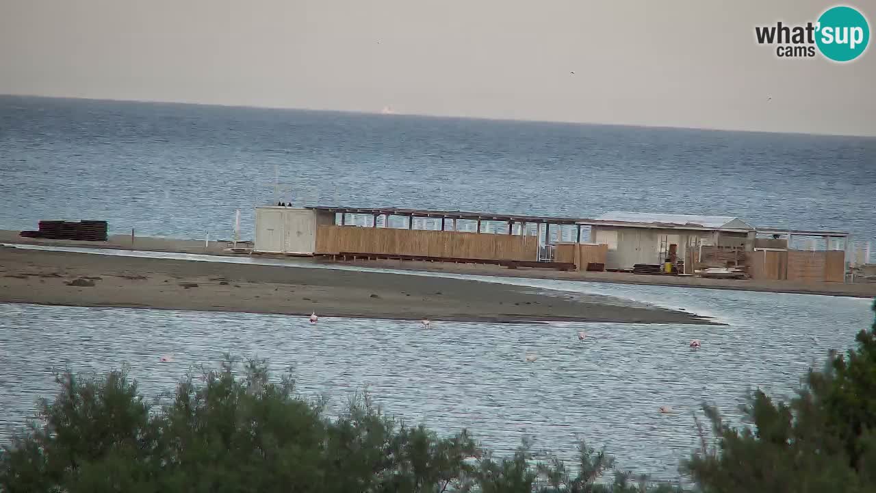 Spletna kamera Chia – Pogled v živo na plažo Su Giudeu