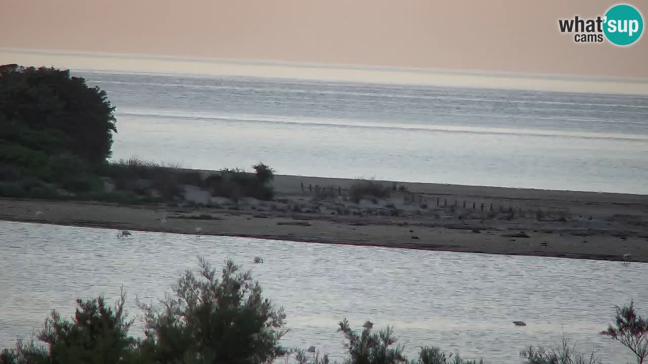 Webcam Chia – Vista en directo de la playa Su Giudeu