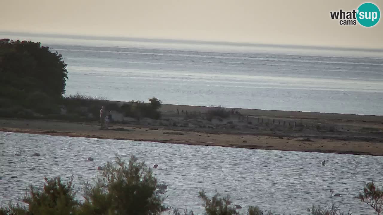 Webcam Chia – Vue en direct de la plage Su Giudeu