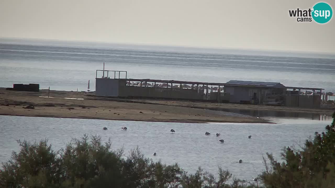Webcam Chia – Spiaggia Su Giudeu in diretta