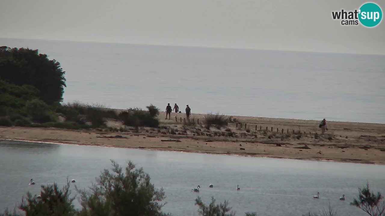 Webcam Chia – Vista en directo de la playa Su Giudeu