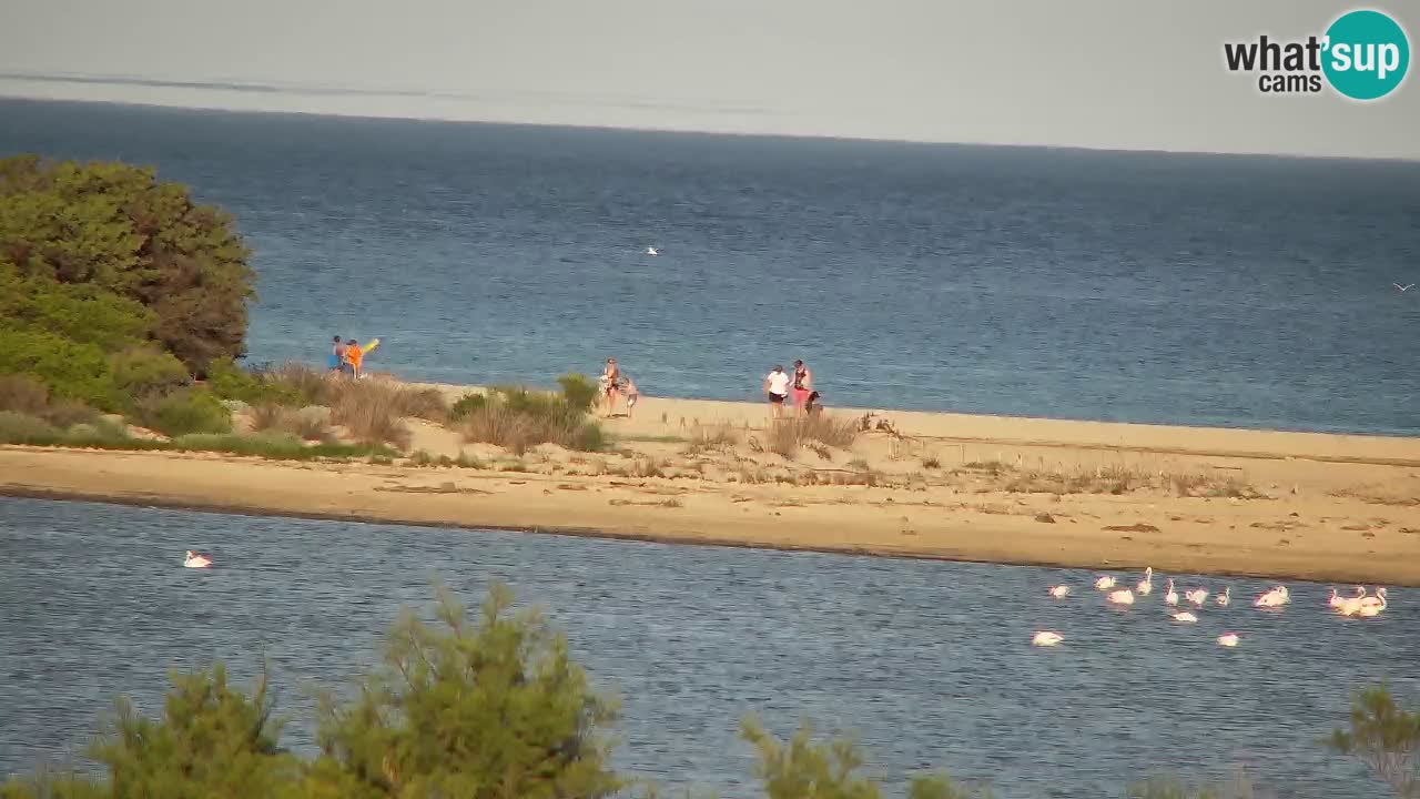 Webcam Chia – Vue en direct de la plage Su Giudeu
