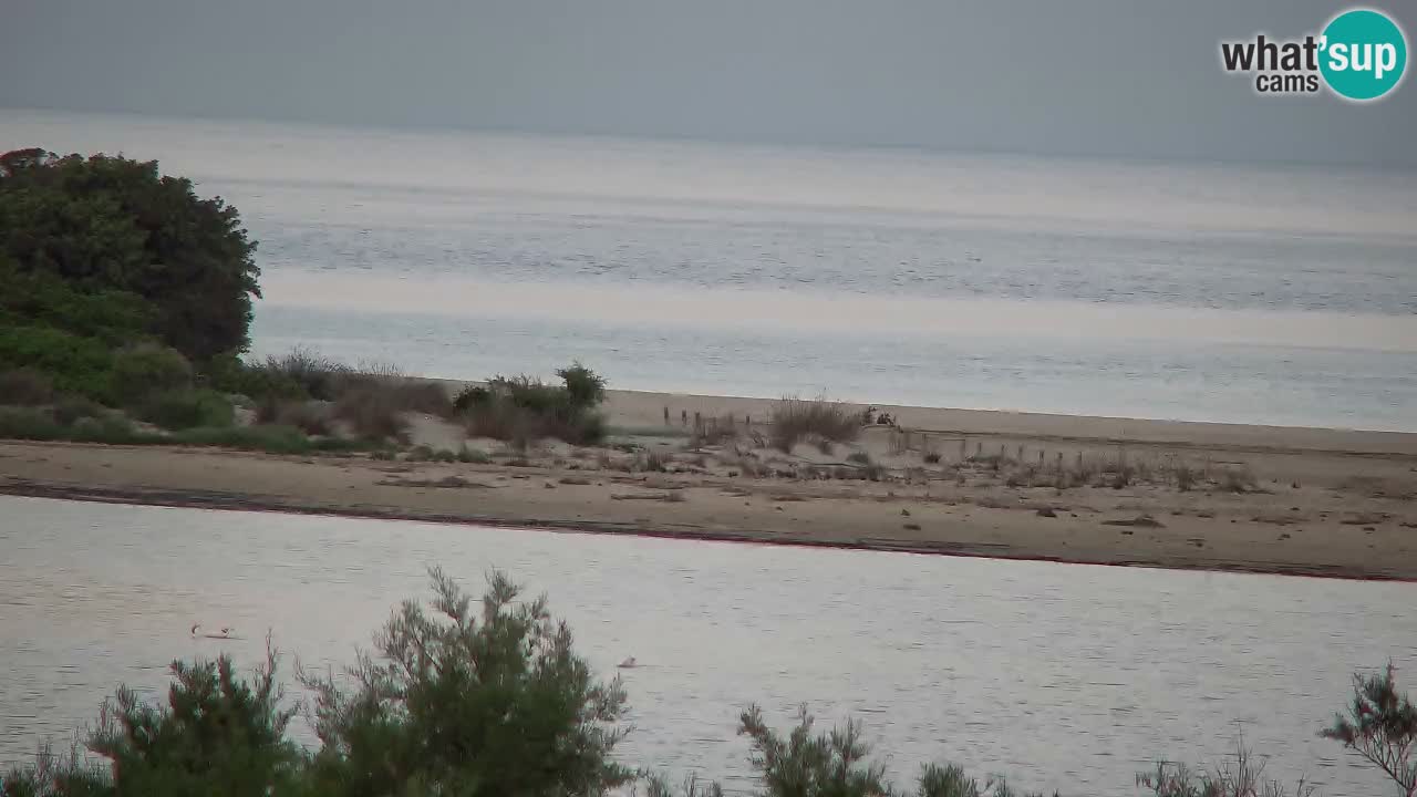 Webcam Chia – Live View of Su Giudeu Beach