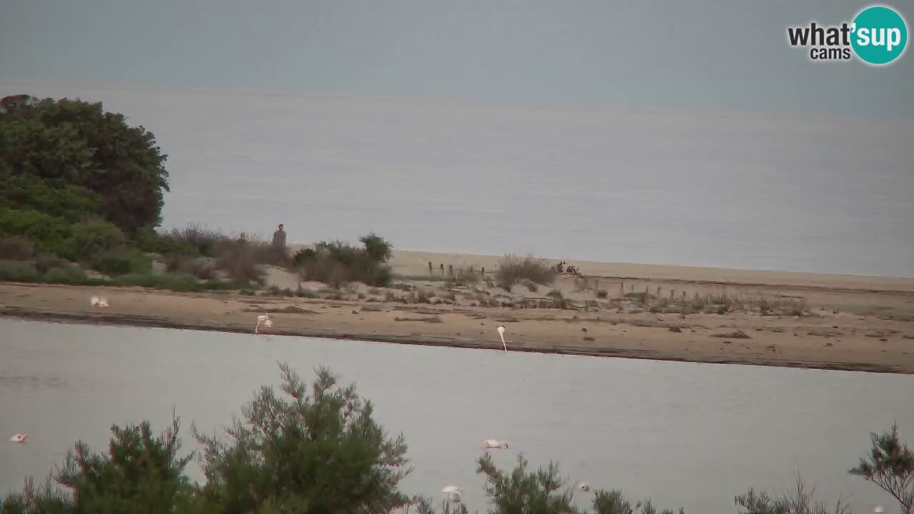 Webcam Chia – Spiaggia Su Giudeu in diretta