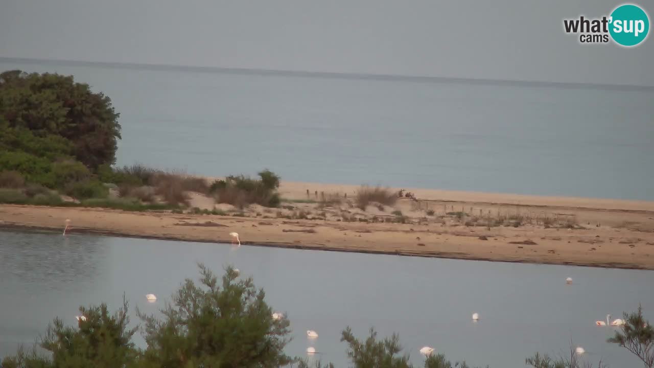Spletna kamera Chia – Pogled v živo na plažo Su Giudeu