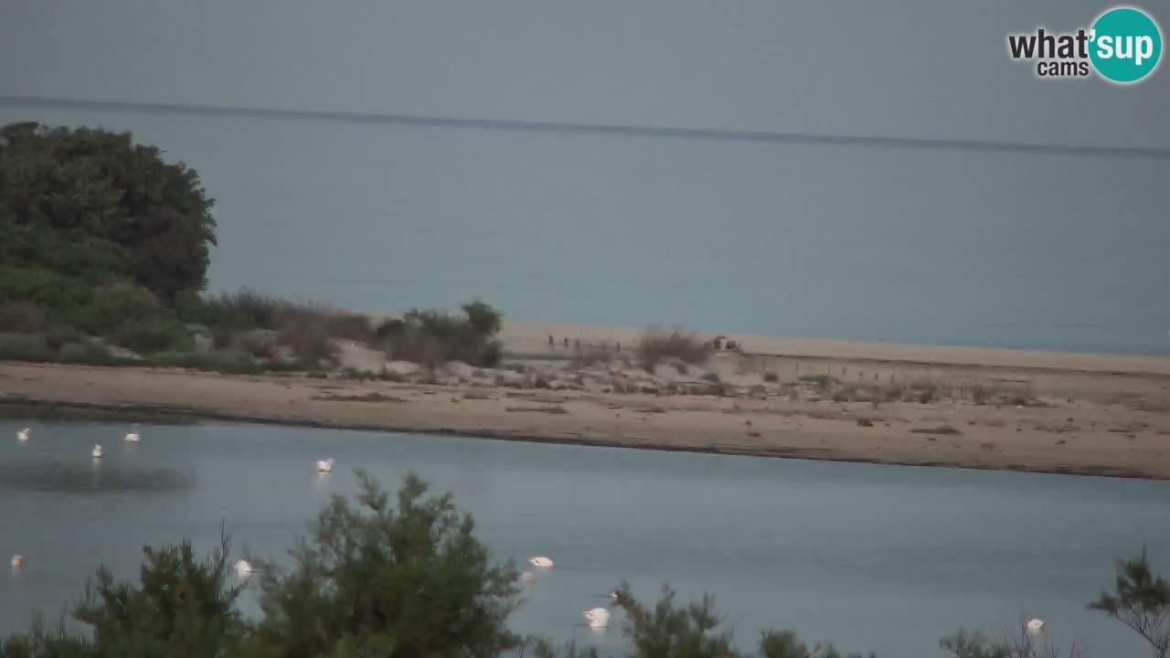 Webcam Chia – Spiaggia Su Giudeu in diretta