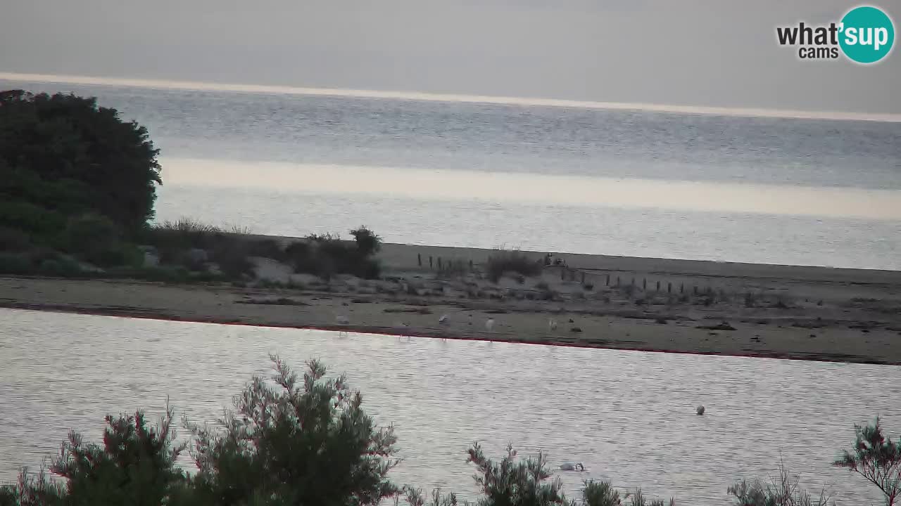 Webcam Chia – Live View of Su Giudeu Beach